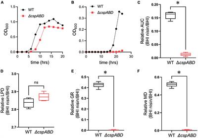 Cold Shock Proteins Promote Nisin Tolerance in Listeria monocytogenes Through Modulation of Cell Envelope Modification Responses